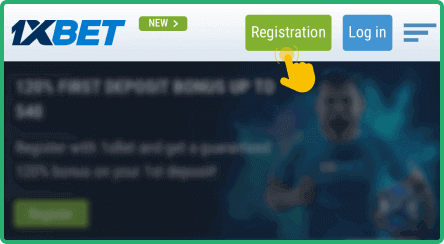 Launch the app and log in