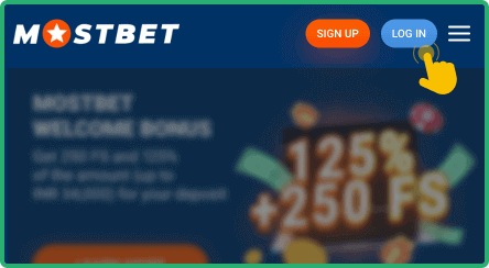 Input your login credentials