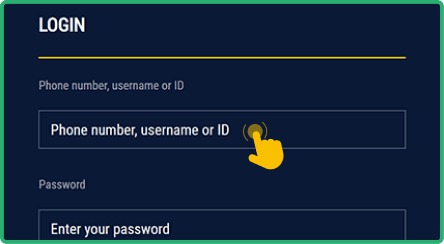 Enter your details